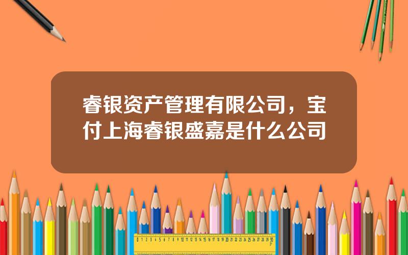 睿银资产管理有限公司，宝付上海睿银盛嘉是什么公司