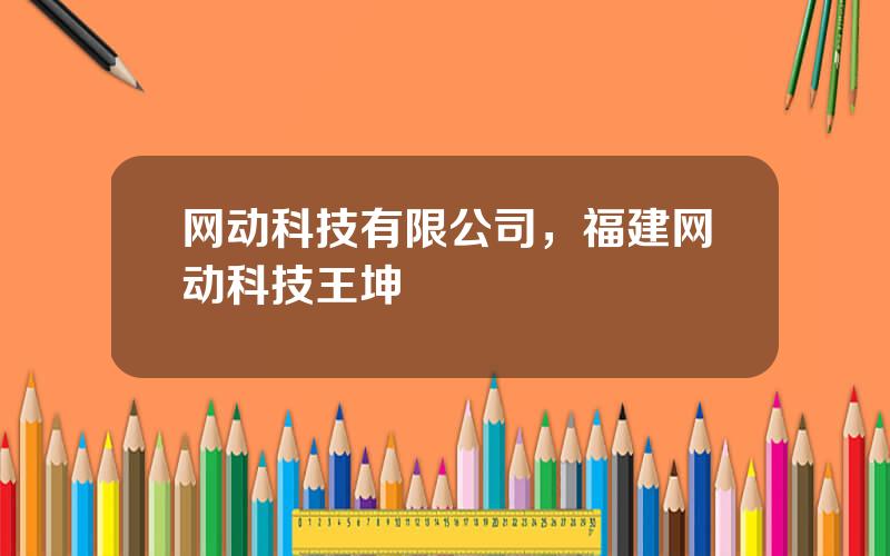 网动科技有限公司，福建网动科技王坤