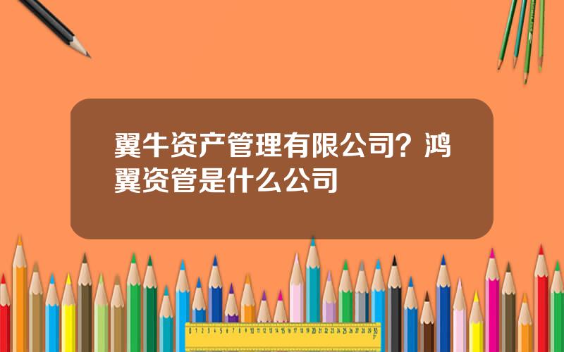 翼牛资产管理有限公司？鸿翼资管是什么公司