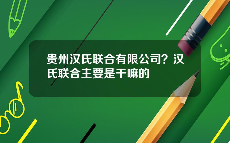 贵州汉氏联合有限公司？汉氏联合主要是干嘛的