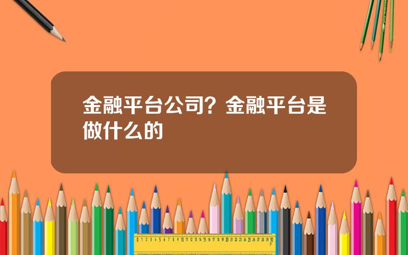 金融平台公司？金融平台是做什么的