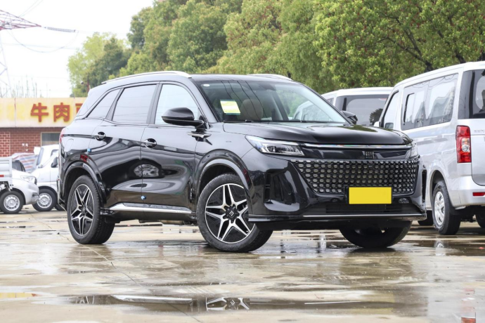 10来万预算买电混SUV，蓝电E5和启辰大V DD-i怎么选呢？